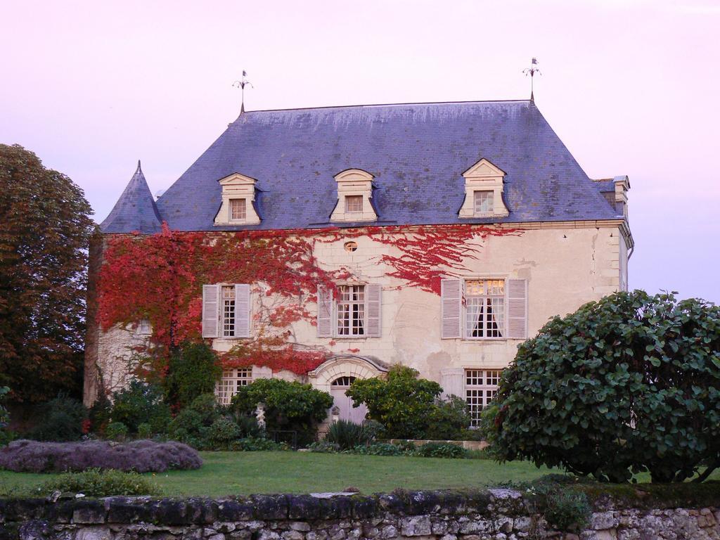 Gite Chateau De Chaintres Dampierre-sur-Loire ห้อง รูปภาพ